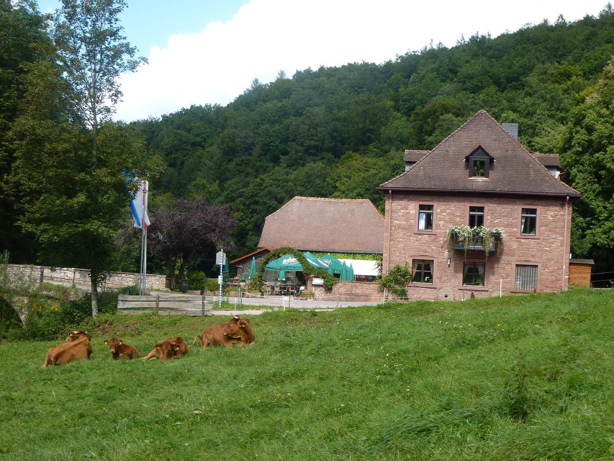 Hotelgasthof Buchenmuehle Lohr Kültér fotó